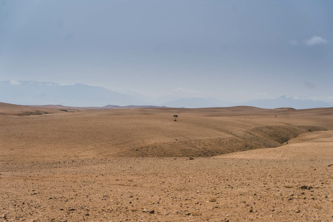 désert marocain d'Agafay