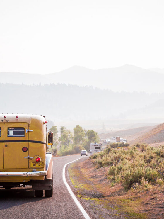 Yellowstone : Lamar Valley, THE place-to-be des bisons