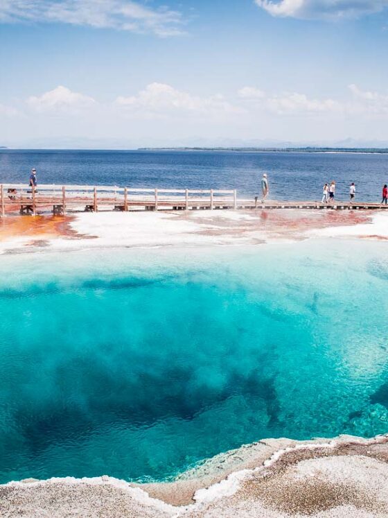 Comment s’organiser pour découvrir le Parc de Yellowstone aux USA ?