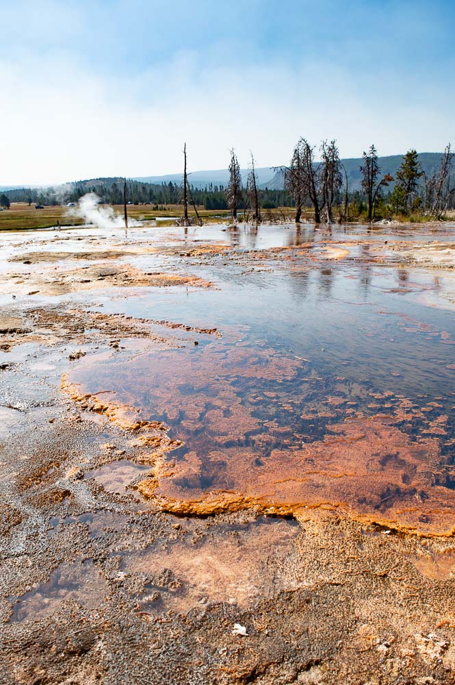 bactéries thermophiles dans le parc de Yellowstone