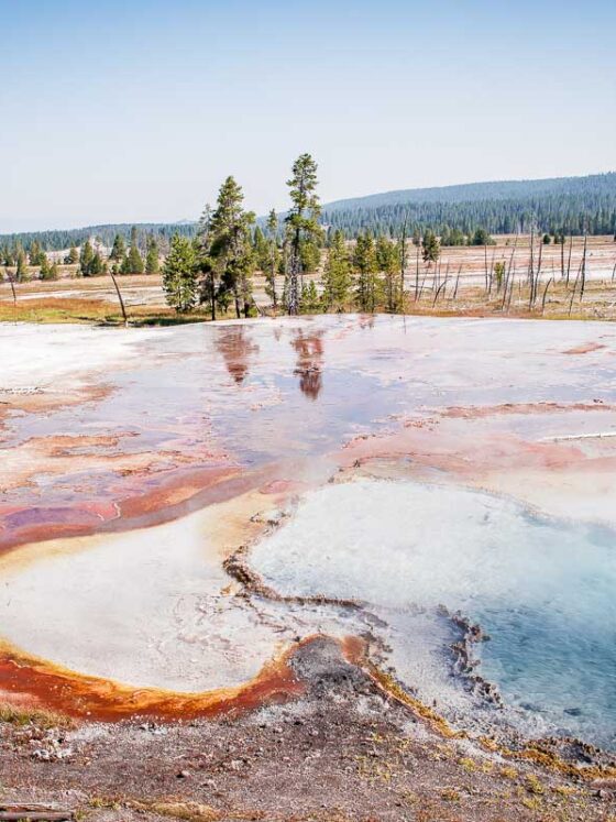 Yellowstone : Upper Geyser Basin, Grand Prismatic et Norris #1