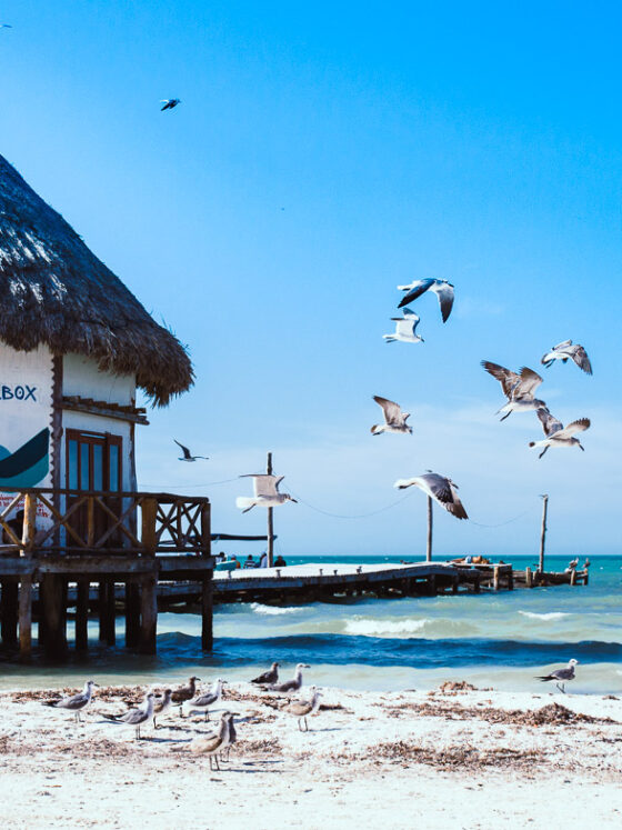 3 jours à Holbox : un vrai petit paradis mexicain
