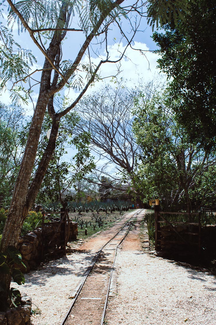 chemin de fer pour acheminer l'agave dans l'hacienda