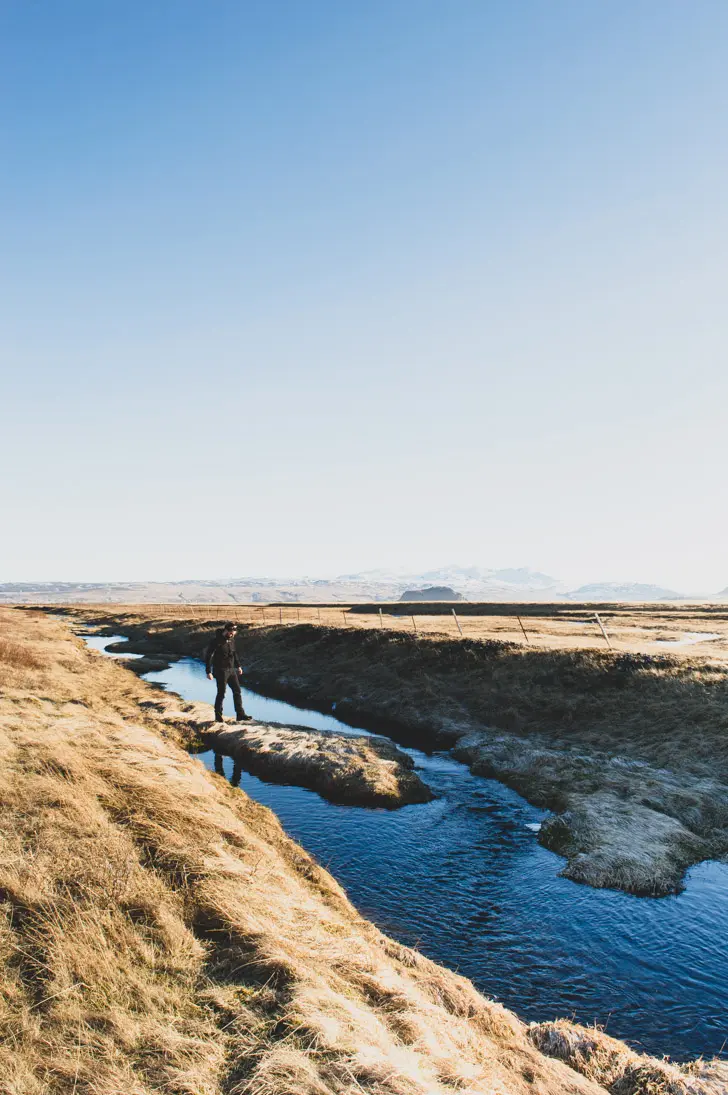 mousse au bord d'une rivière en islande