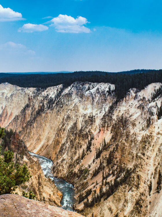 Le Grand Canyon de Yellowstone