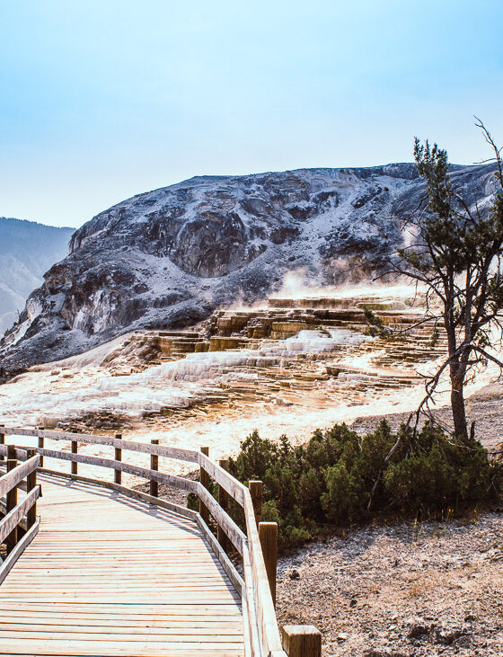 Les Mammoth Hot springs dans le parc national de Yellowstone