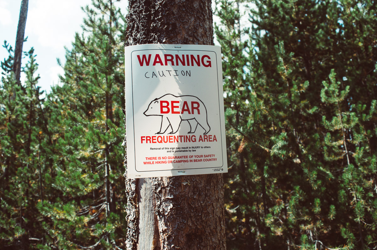 panneau attention aux ours à Yellowstone
