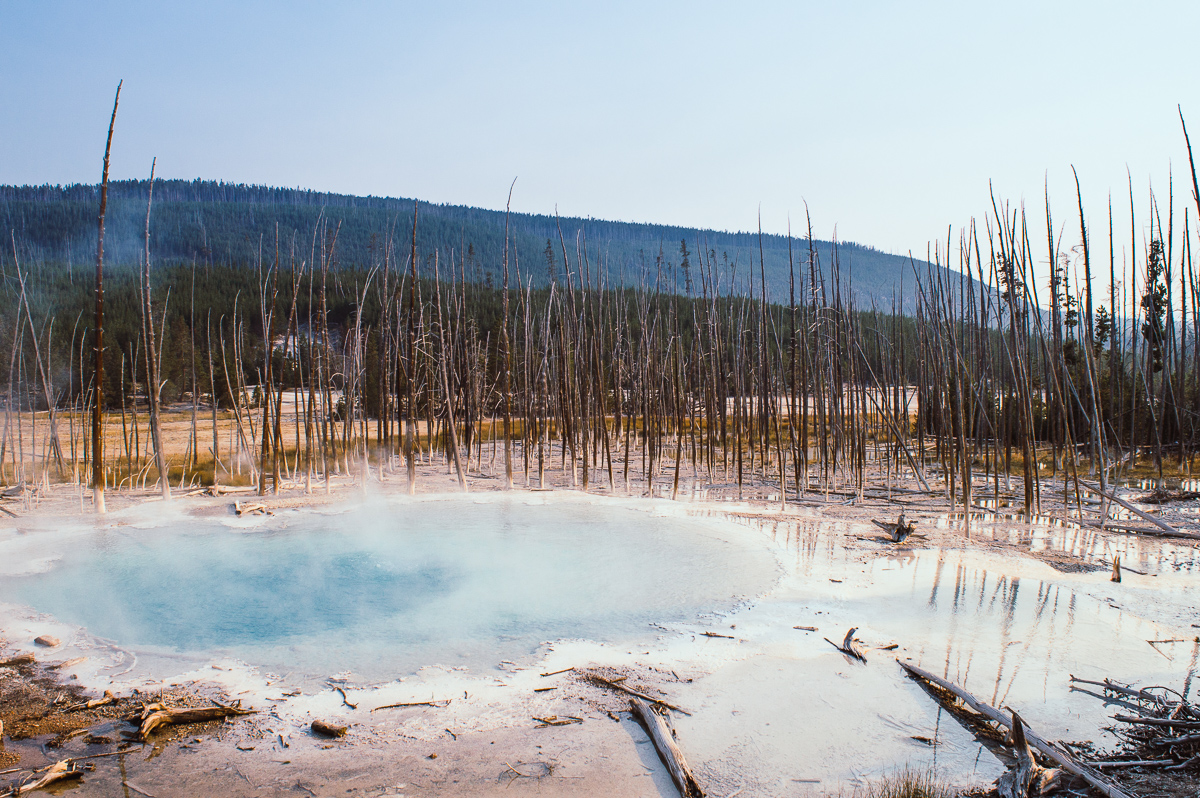 back basin dans le secteur de norris geyser basin à Yellowstone
