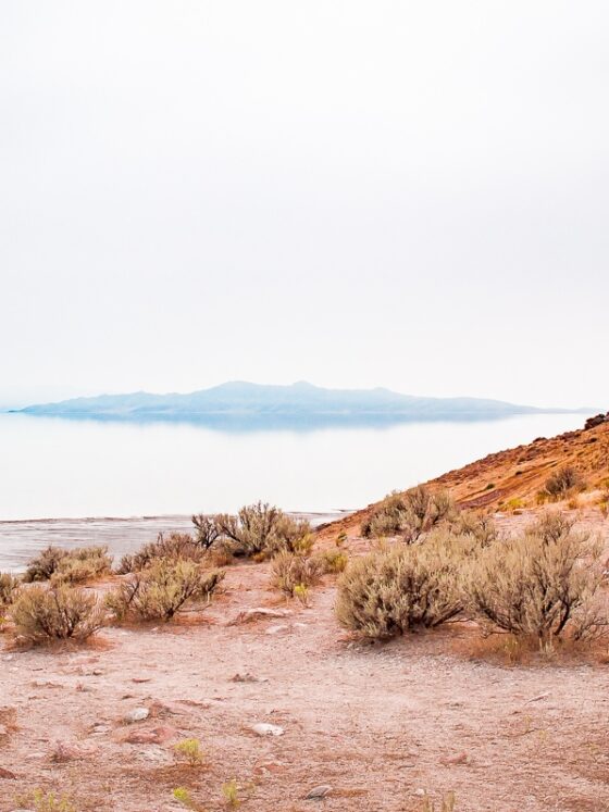 Antelope Island State Park