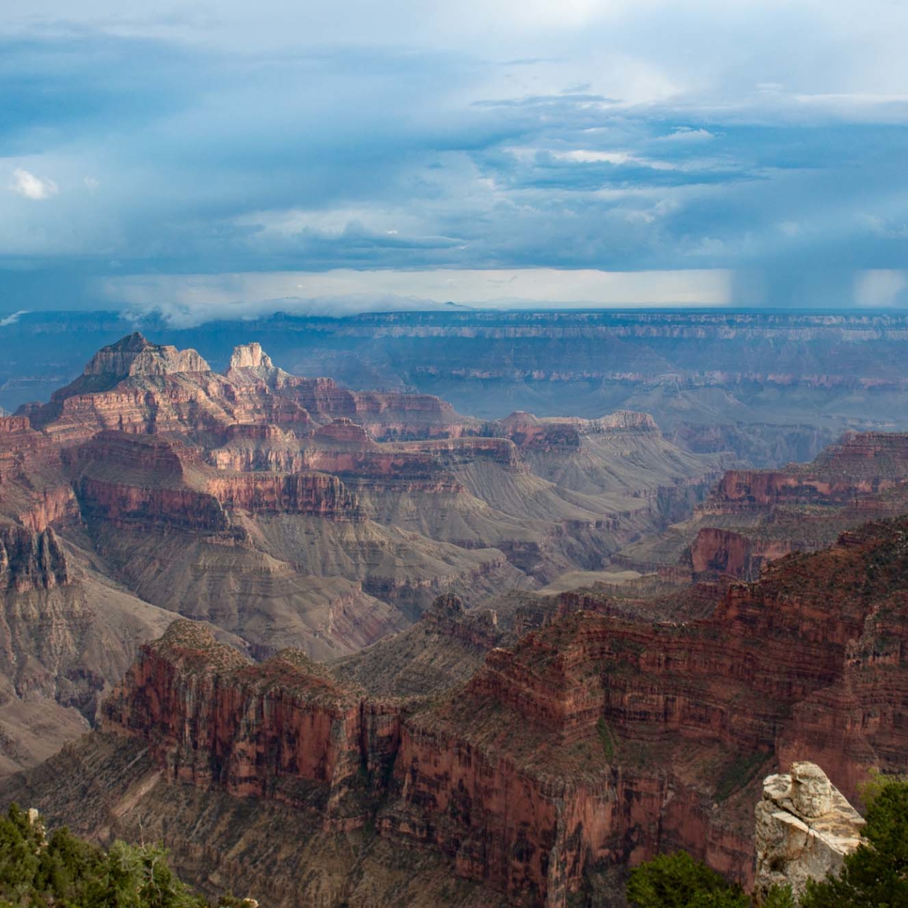 Voir le Grand Canyon aux USA : côté North Rim