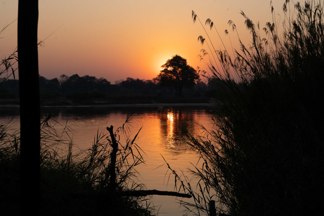 coucher de soleil sur le fleuve Okavango