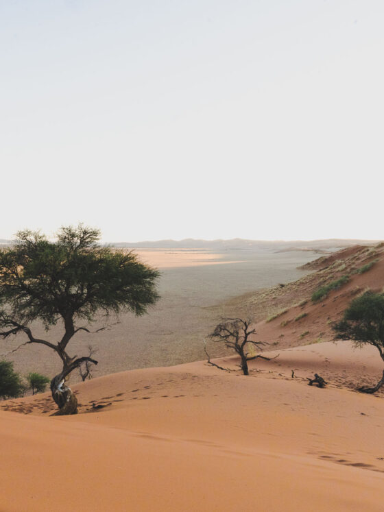 3 semaines en Namibie : Itinéraire détaillé et hébergements