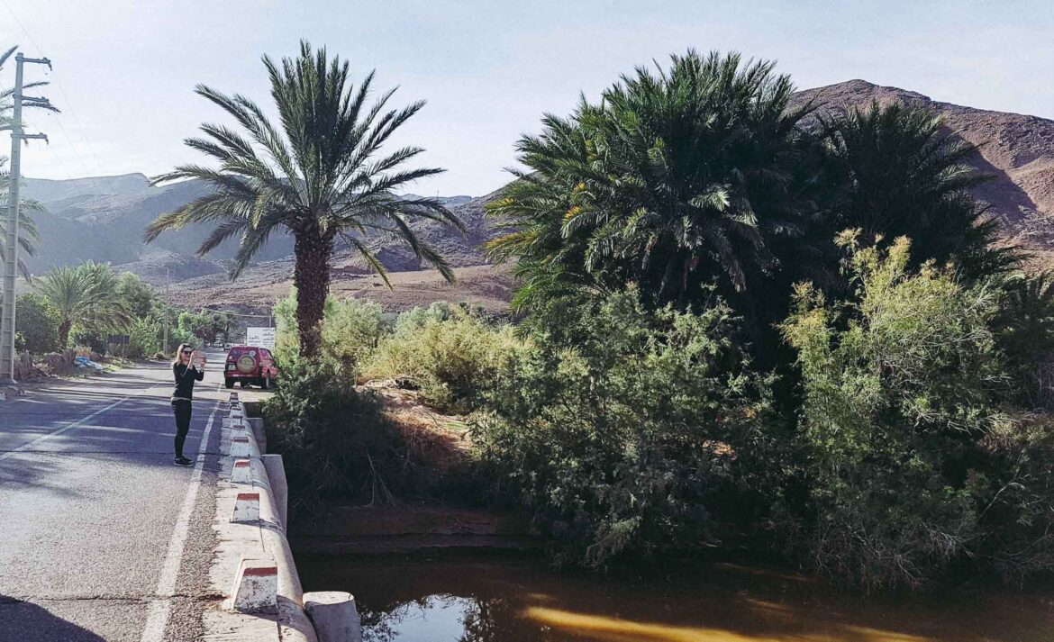 oasis dans le sud du Maroc