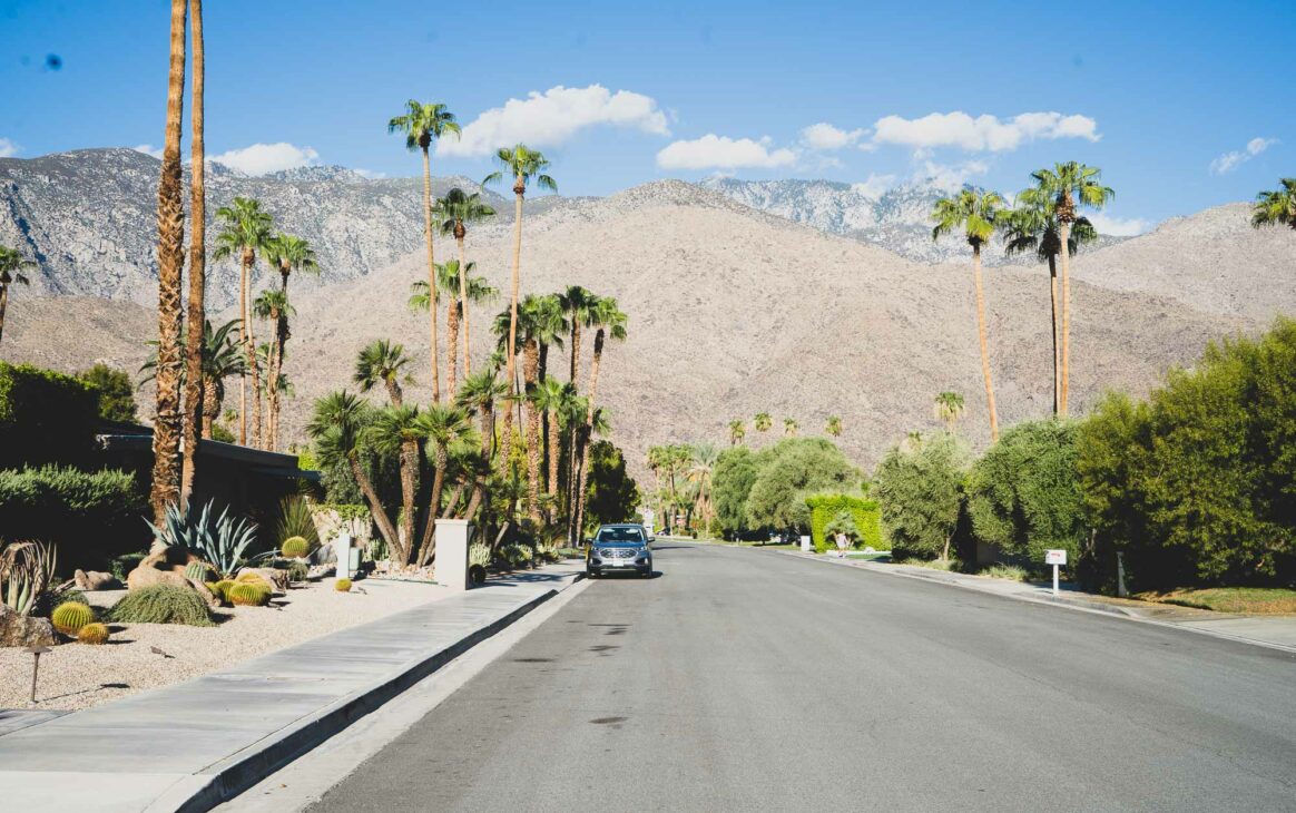 rue de palmiers à Palm Springs