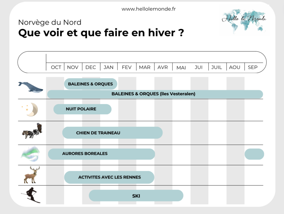 infographie montrant les activités en fonction des mois de l'année en Norvège du Nord et aux îles Lofoten