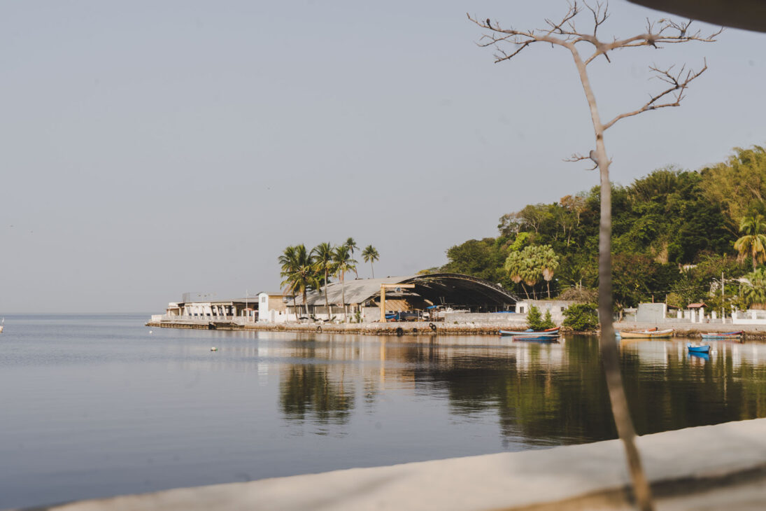 jungle et mer calme sur l'île de paqueta