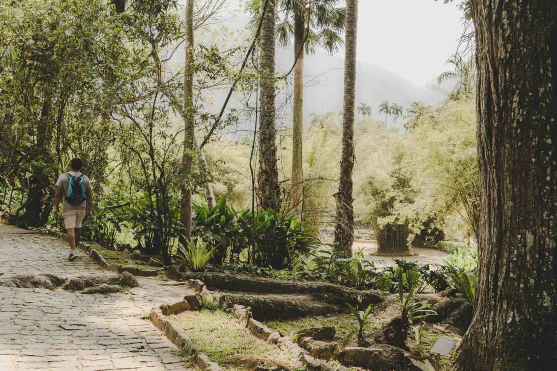 sentier dans le jardin botanique de rio