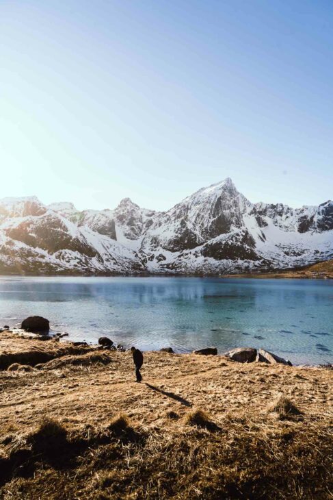 paysage dans les villages des lofoten