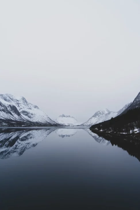 fjord gelé à senja en hiver