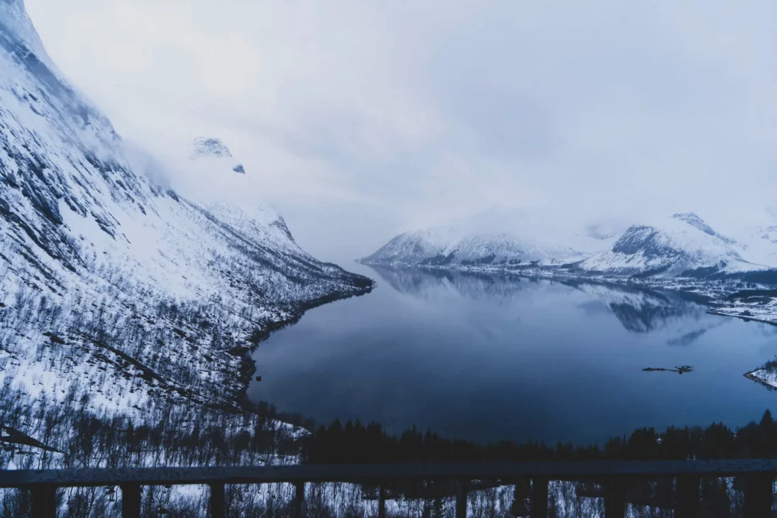 vue sur le fjord de bergsbotn