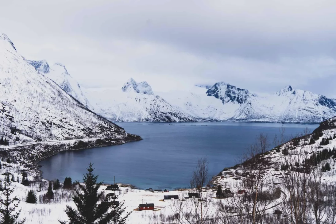 fjord à senja