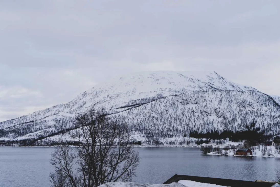 fjord en hiver a senja