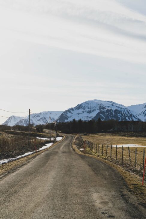 faire du cheval dans les lofoten