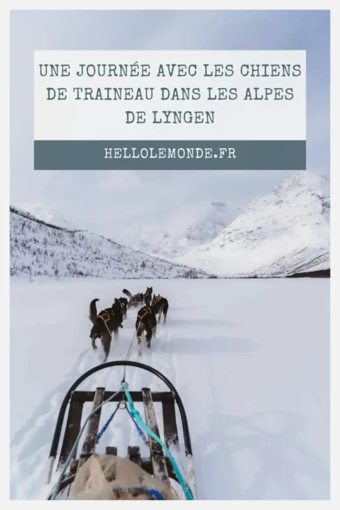 épingle pinterest chien de traineau éthique à tromso