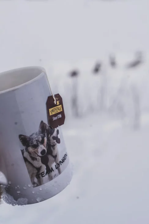 tasse de thé dans la neige