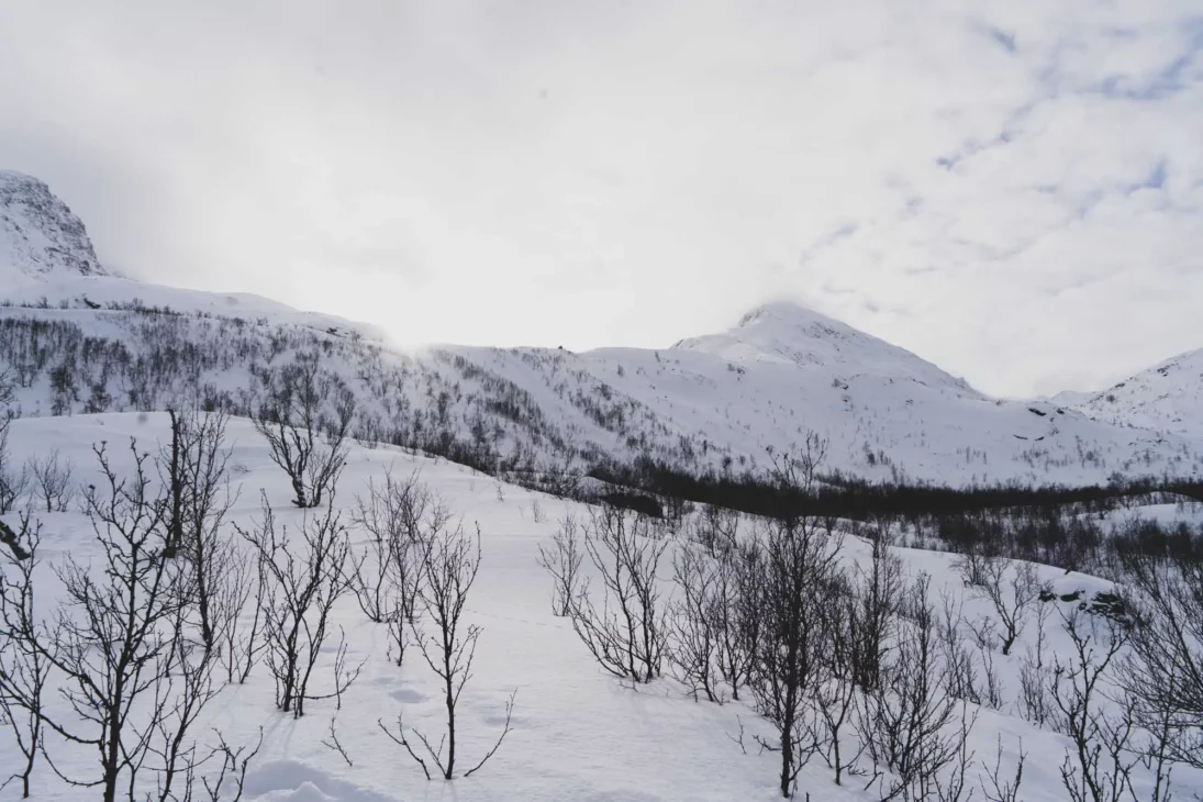 paysage enneigé dans les alpes de lyngen