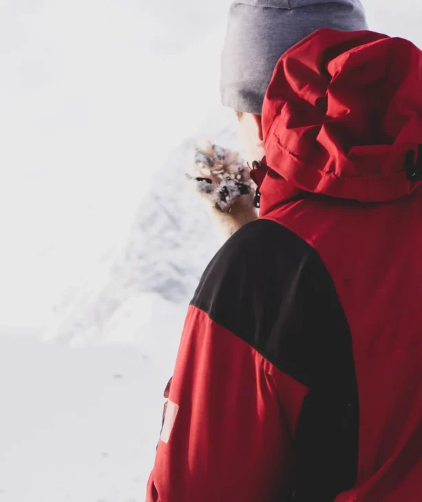 Une journée avec les chiens de traîneau à la découverte des Alpes de Lyngen