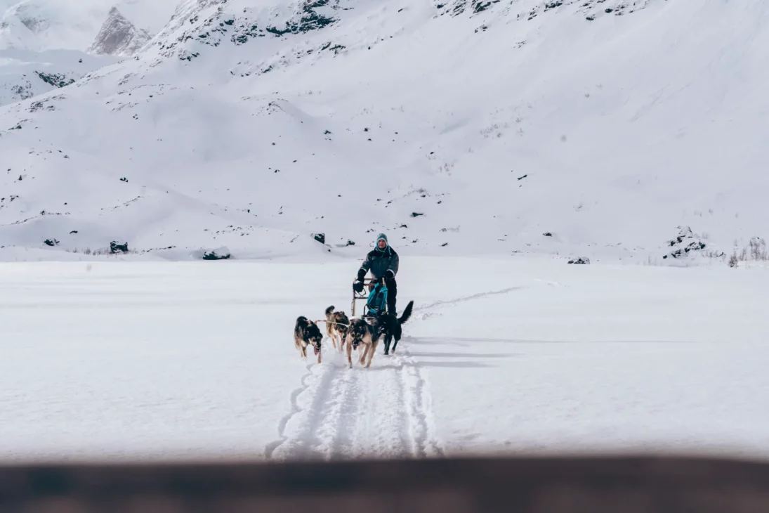 mehdi sur le traineau à chien