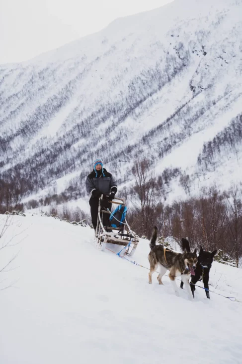 faire du traineau en Norvège