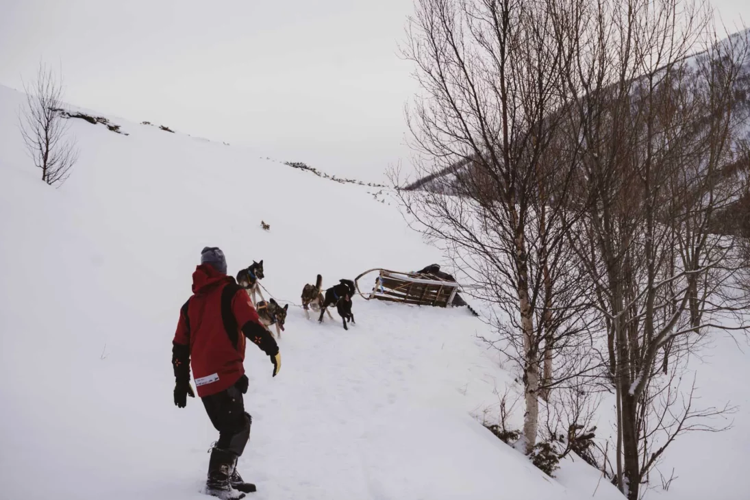 gamelle en chien de traineau