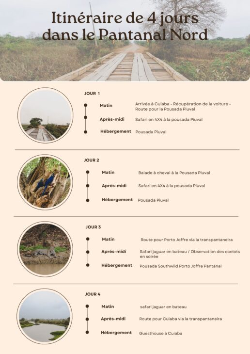 itinéraire de 4 jours en selfdrive dans le Pantanal