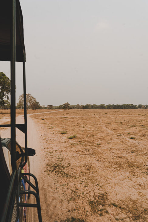 piste en latérite rouge dans pantanal