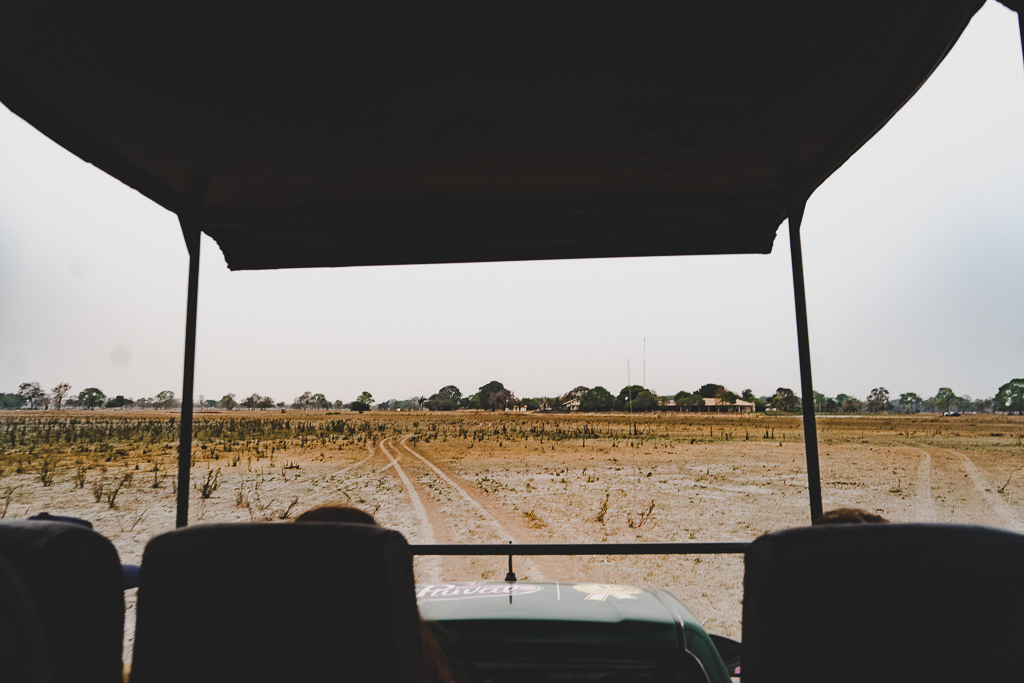 lodge pour observer la faune sauvage sur la transpantaneira