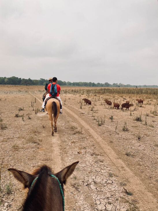 balade à cheval pantaneiro