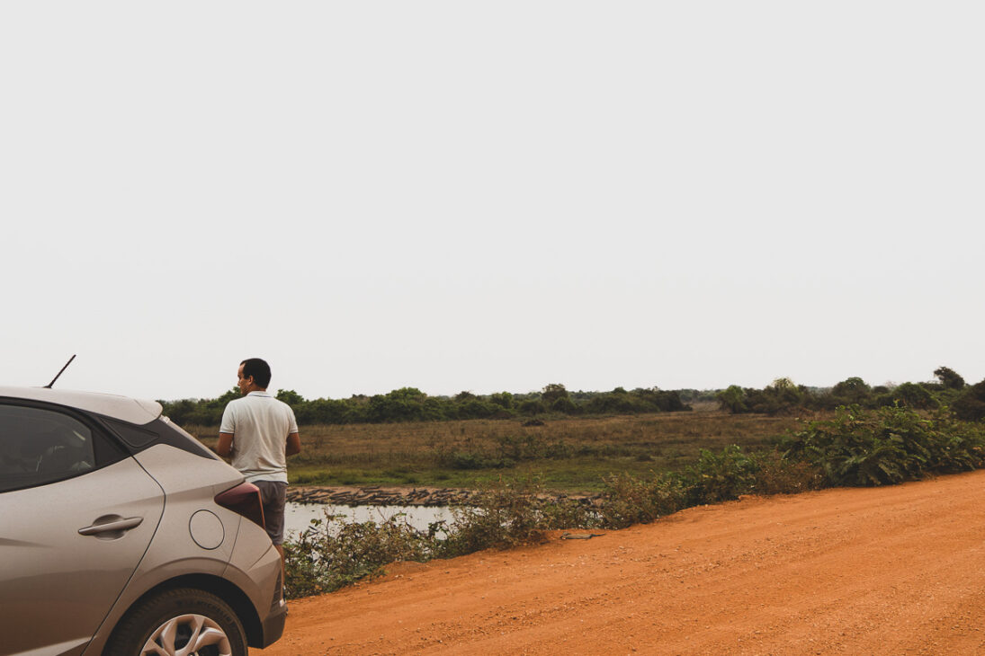 pause sur la transpantaneira