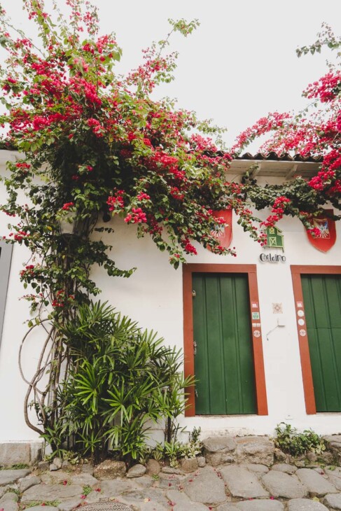 bougainvillier à Paraty